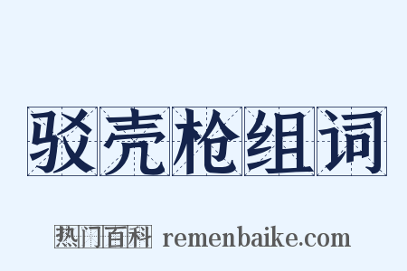 驳壳枪组词是什么意思的图片